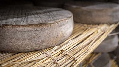 FERME CHANTADUC - ROMAIN ET MARIE